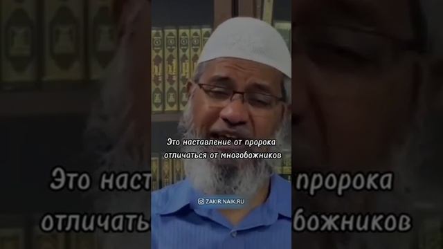 Является ли борода обязательным или нет_ Закир Найк (360p) смотреть онлайн