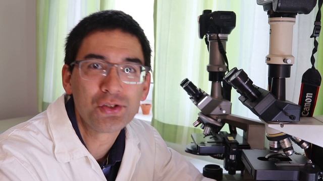 🔬 079 - Top reasons why amateur microscopy is a great hobby | Microscopy смотреть онлайн