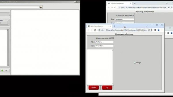 Communication WebBrowser and Labview using WebSocket