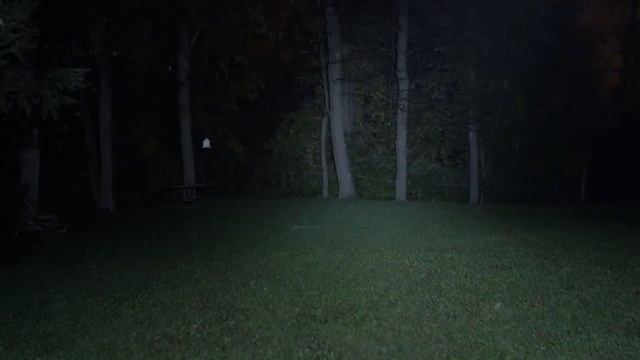 MF Tactical X-Ray смотреть онлайн