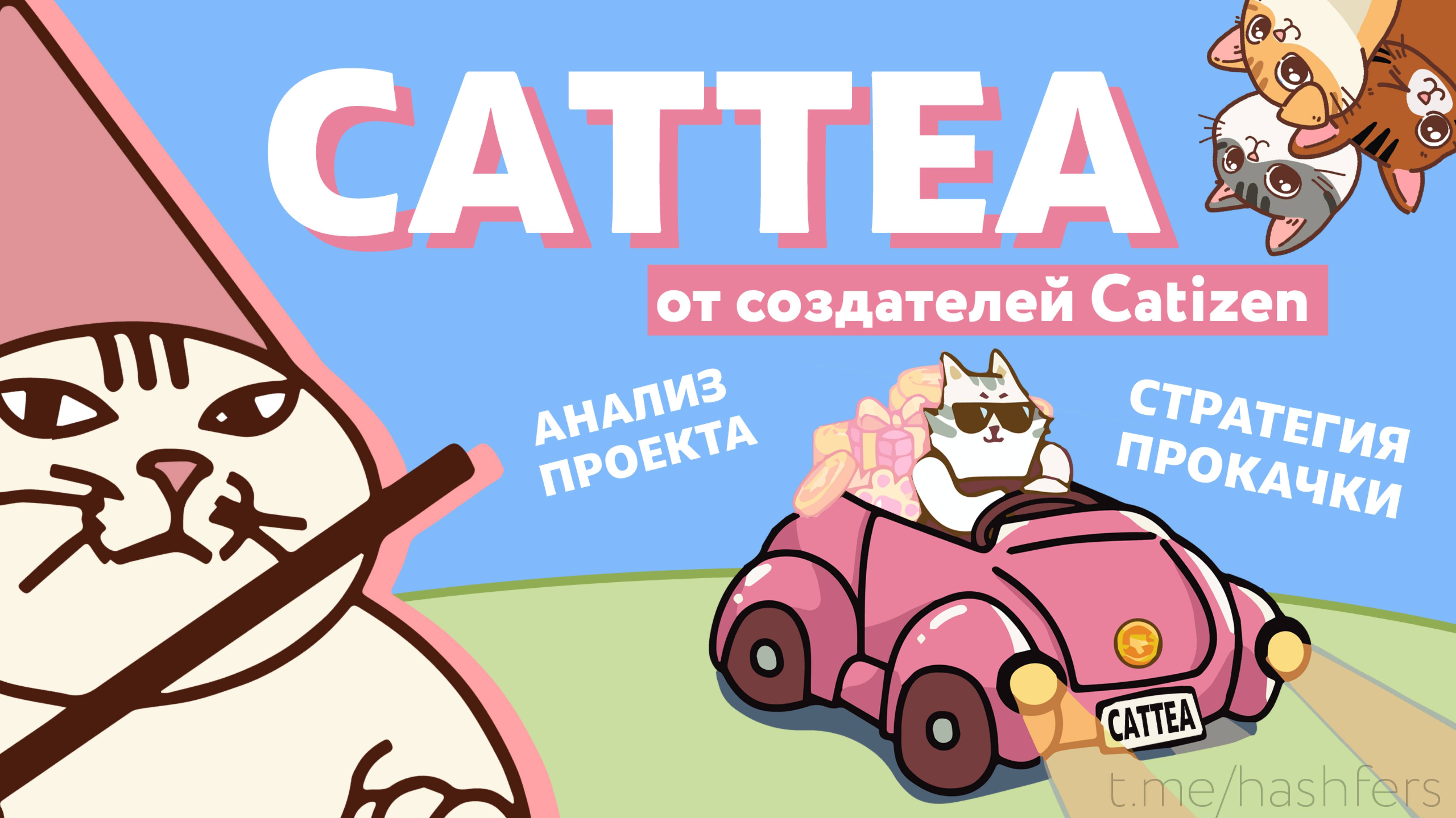 Cattea от Catizen - Анализ проекта. Советы по прокачке.