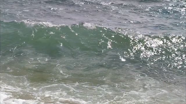 Отдых в сентябре на прекрасном пляже в Благовещенской. смотреть онлайн