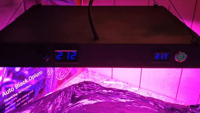 portal 6 смотреть онлайн