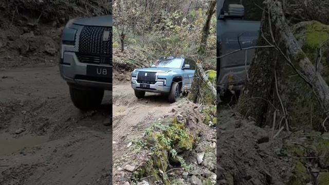 Off-road BYD U8 

BYD YangWang U8 Off-road PHEV #byd#offroad#defender#luxurycars#landcruiser