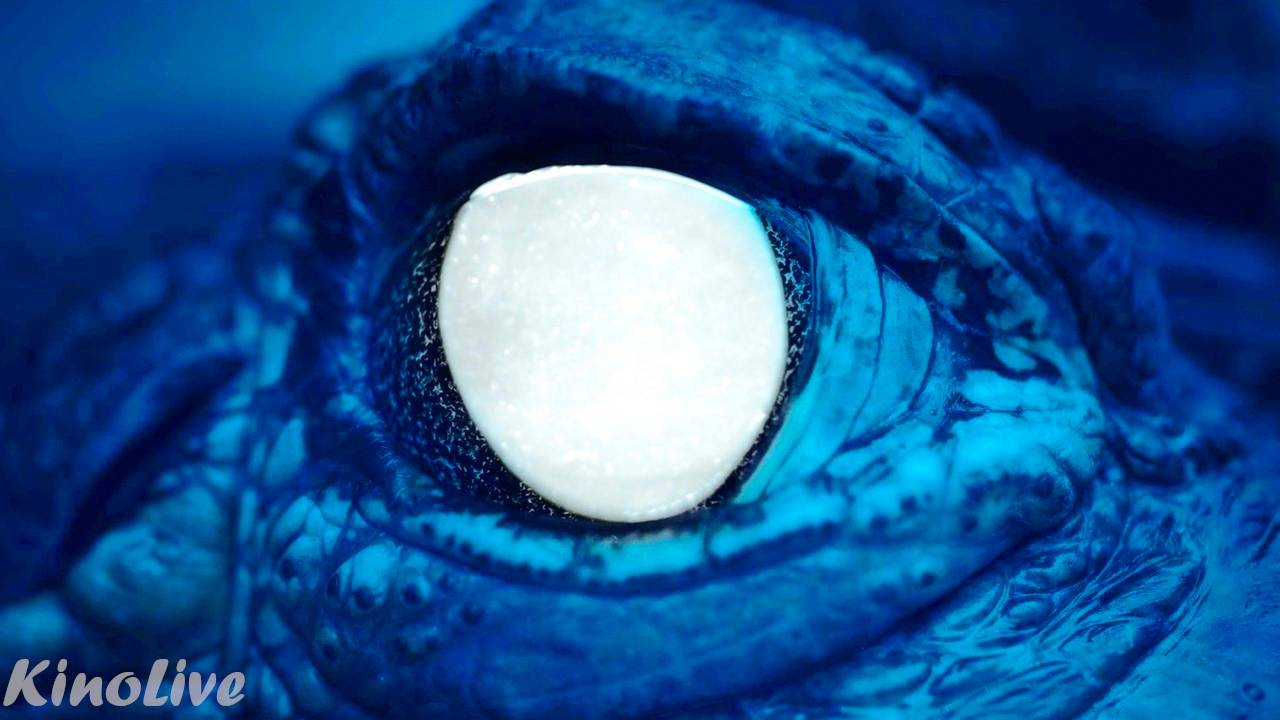 Абсолютный хищник | Русский трейлер (Дубляж) | Фильм 2025 смотреть онлайн