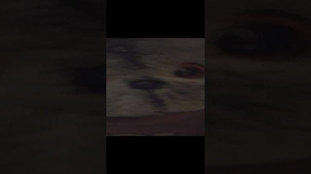 1000003388.mp4 смотреть онлайн