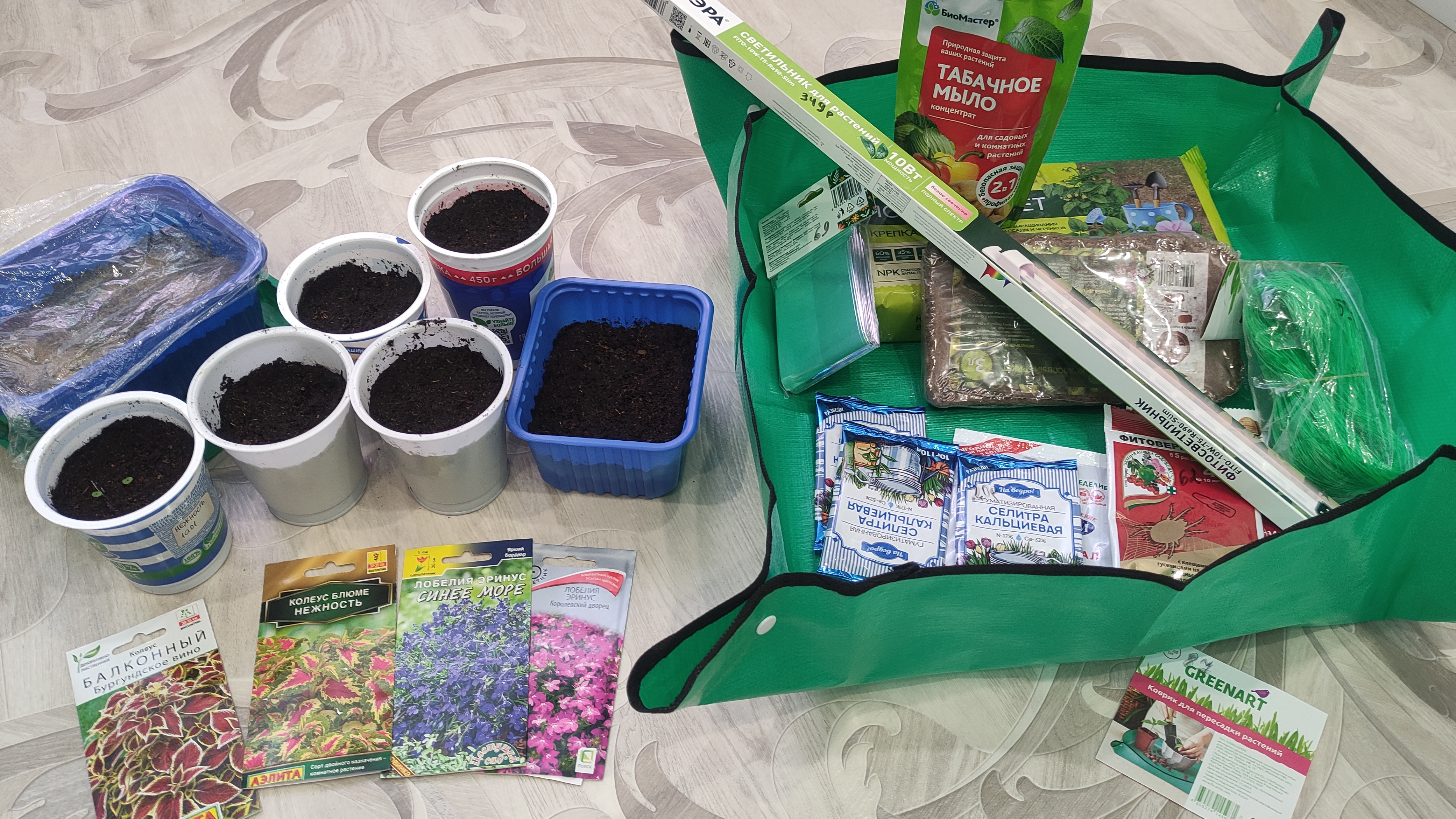 Покупки для сада и огорода из Фикс Прайса. Сеем лобелию.Всходы земляники и колеуса. Сезон 2025. смотреть онлайн