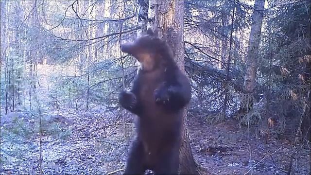 Где то на белом свете песня смотреть онлайн