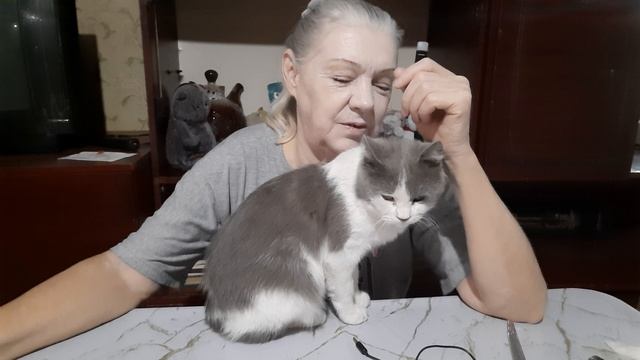 мой звезда ютуба😉🐈 смотреть онлайн