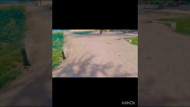 Moti Peer 58 DB Blog Pjunaba 🇵🇰 Paras Ali YouTube channel Mahboob Ali 🦁 Vido смотреть онлайн