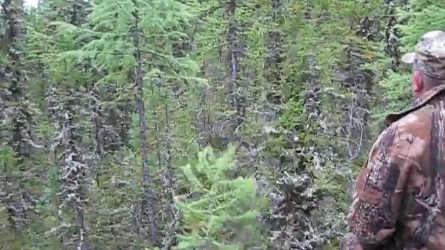 Изображение 096