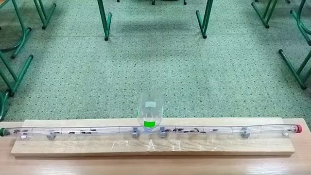 2 ЗВЕРОБОЙ смотреть онлайн
