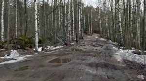 Покатушка на эндуро мотоцикле (Progasi MAX 150)