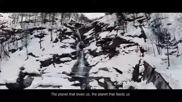 Чорное золато смотреть онлайн