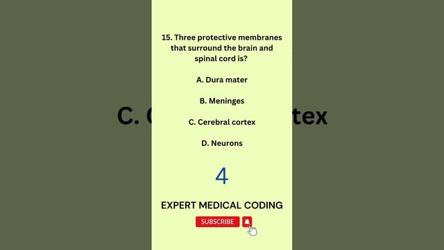 #medicalcoding #nervoussystem #quiz #mbbs #neet #viral #shortvideo #short #anatomy #trending #test смотреть онлайн