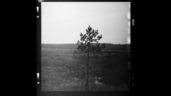 darkness - atmospheric/melodic black metal instrumental [free]