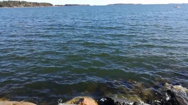 Хельсинки Море рядом с заводом по производству кофе “Paulig” в Хельсинки | YouTube