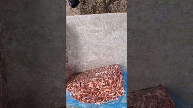 Диафрагма баранья