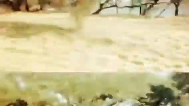 Maui (Created with @Magisto) смотреть онлайн