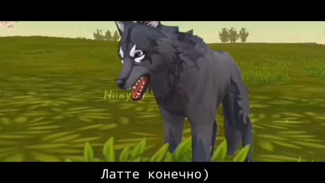 🍊Она не пьет кофе🧡 meme WildCraft ʙʏ ɴɪᴋʏɴɪ смотреть онлайн