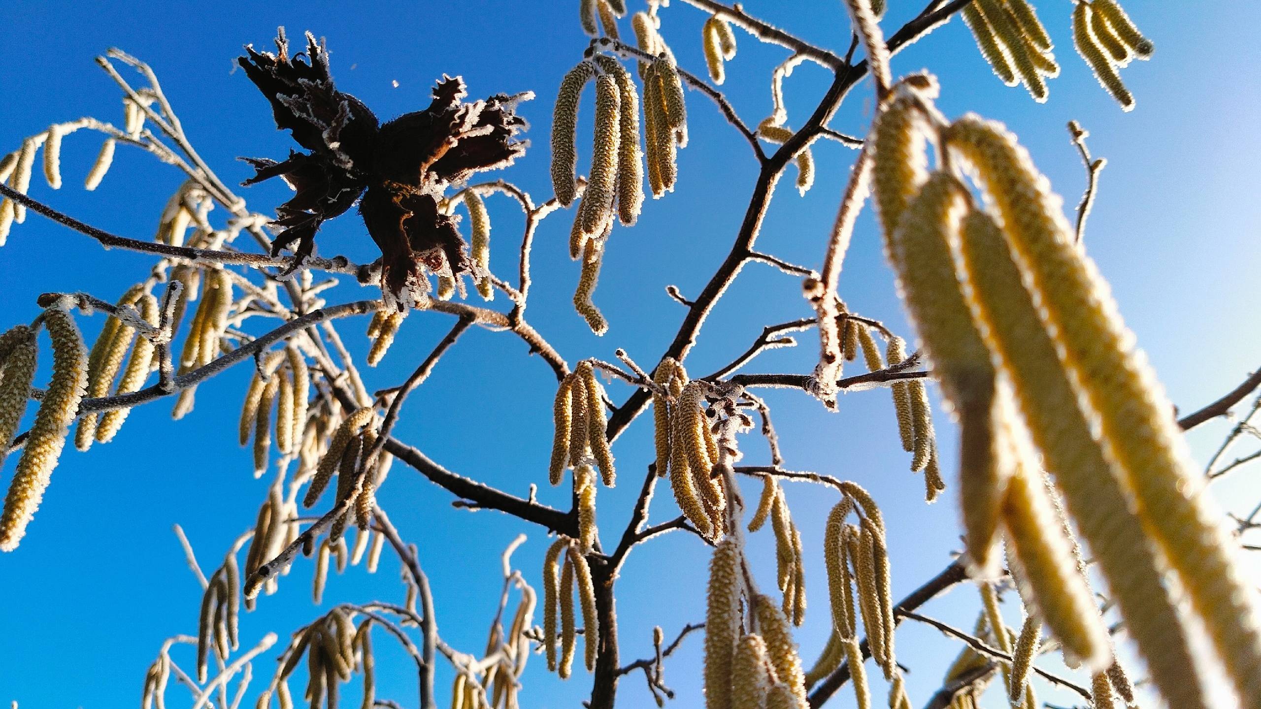 Где-то на юге, где-то на Кубани.Запахло весной.Кто во что горазд. смотреть онлайн