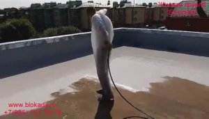 Жидкая полиуретановая кровля  Блокада