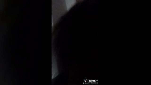 тик ток смотреть онлайн