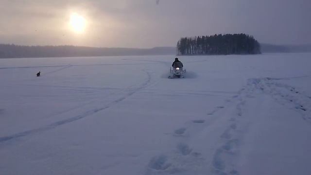 Зимняя сказка