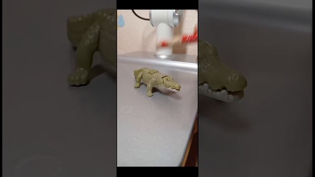 Без названия