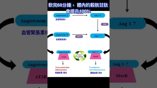 Laager南非國寶茶抗疫防病毒 смотреть онлайн