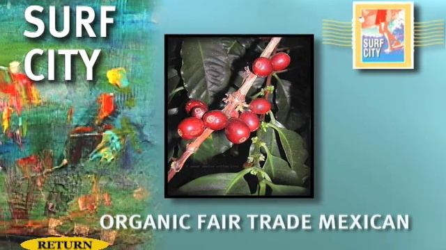 Organic Mexican Coffee Beans From Surf City Coffee