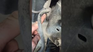 Бюджетный лифт подвески Toyota Succeed/Probox.