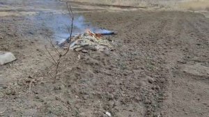 7,8,9 марта 2024