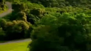 K-fee Commercial #1