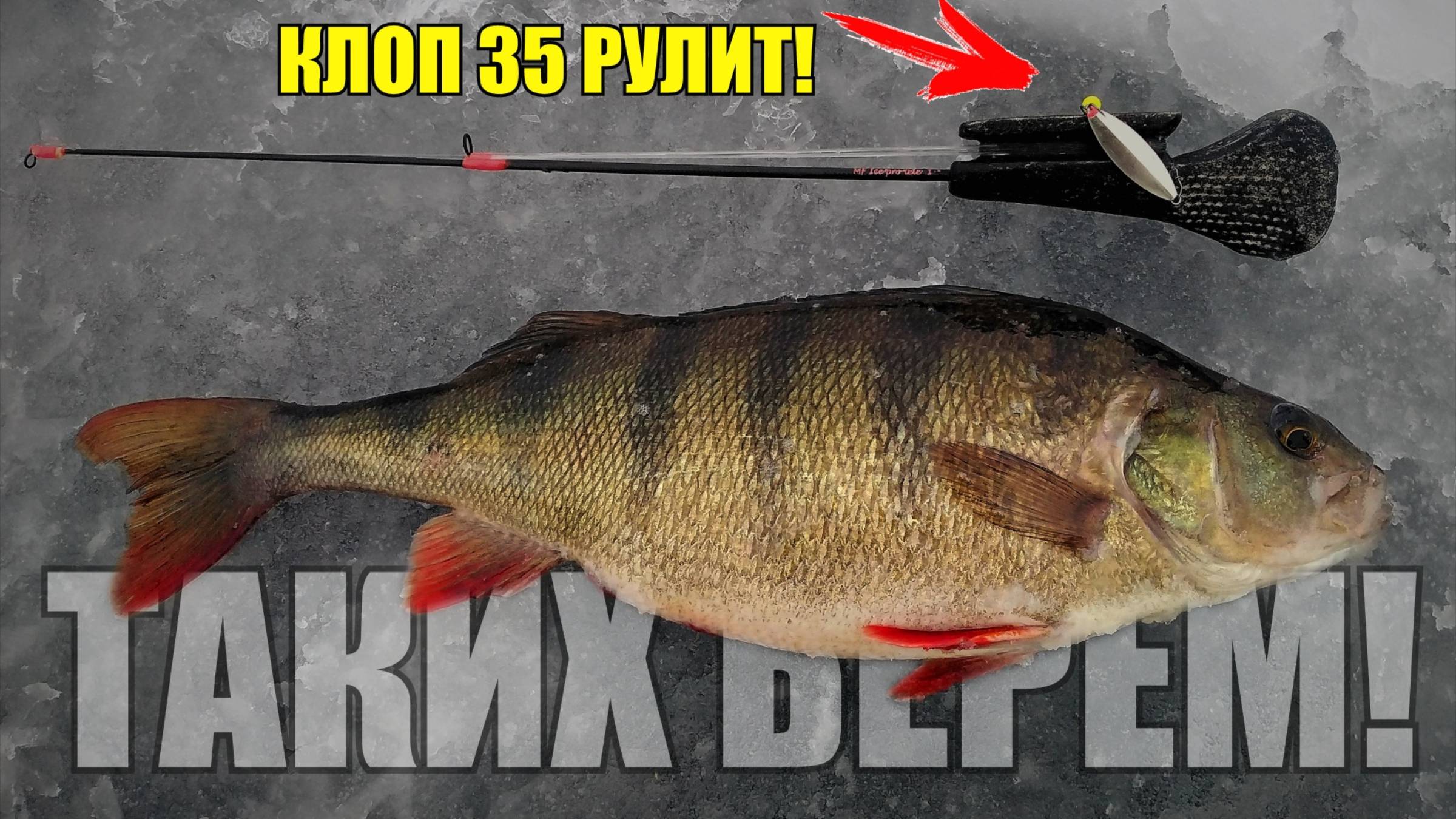 МЕЛОЧЬ НЕ БЕРЁМ, ТОЛЬКО МОРДАТЫХ!!! Клоп 35 рулит на Ладоге! Ловля окуня зимой на блесну смотреть онлайн
