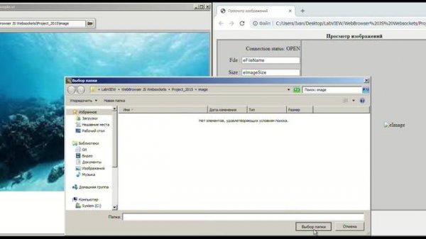 Communication WebBrowser and Labview using WebSocket