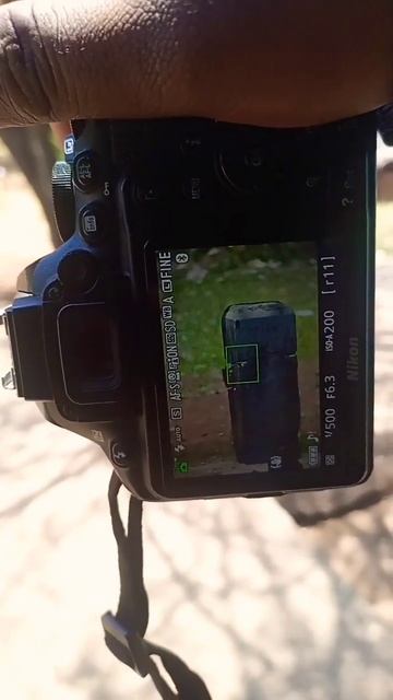 Nikon 3500d photo test 🔥| 70-300 mm zoom lens 💥 #nikon #camera #youtubeshort #viral #photography смотреть онлайн