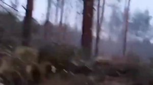 Терминатор #танк #war #украина