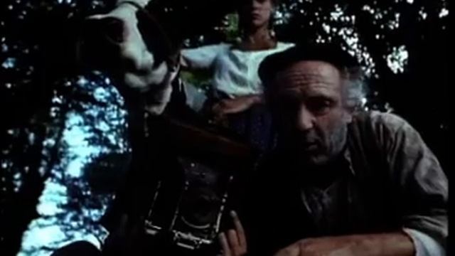 Vacas (1992)