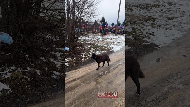 Случайная встреча❤️