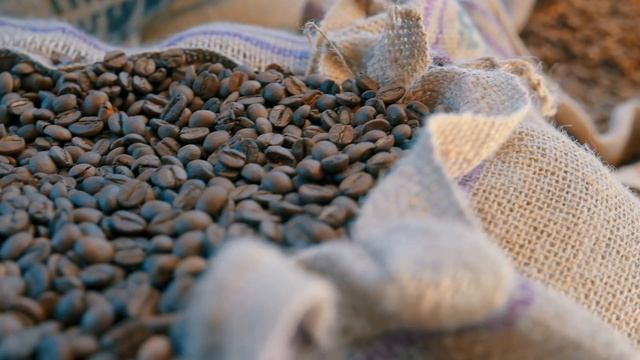 Girişimciler Kahvenin Kokusuna Geliyor! Harput Coffee Shop & Cafe XLARGE смотреть онлайн