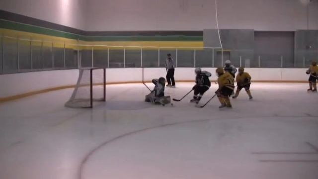 Alex's 2008-2009 Hockey Season Highlights смотреть онлайн