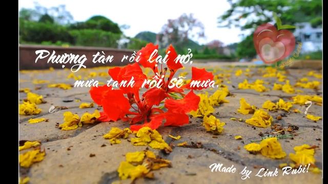 Phố xa - Mai Hường - Âm lượng chuẩn 89 dB смотреть онлайн