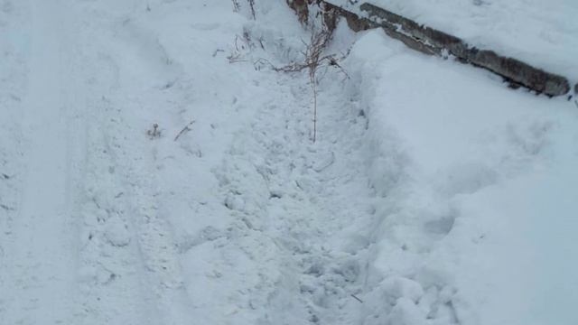 Дорожный патруль 14.01.2025 смотреть онлайн