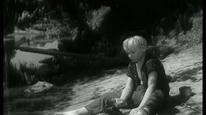 Приключения Толи Клюквина (1964)