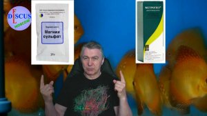 ЧТО ДЕЛАТЬ__ РЫБА ВНИЗ ГОЛОВОЙ!! ЛЕЧИМ!!