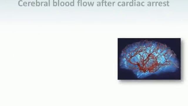 RESUSCITATION FOLLOWING CARDIAC ARREST DOES VENTILATION MATTER