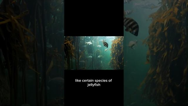 The Wonders of Bioluminescence #shorts смотреть онлайн