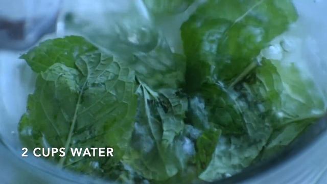 Honey Mint Lemonade | Quick & Easy Recipe | The Little White Factory