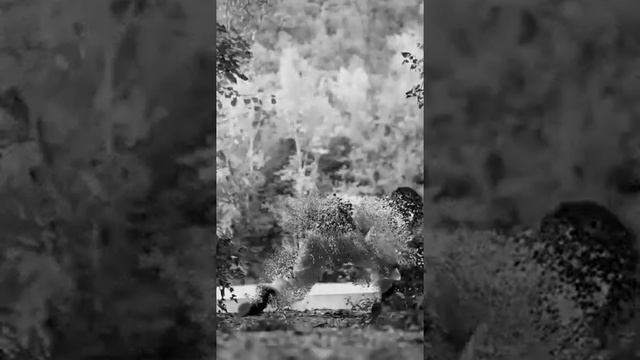 Мужчины! Берегите жизнь, она так ценна! смотреть онлайн
